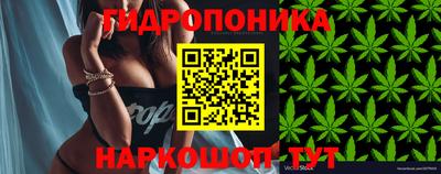 гидра Аргун