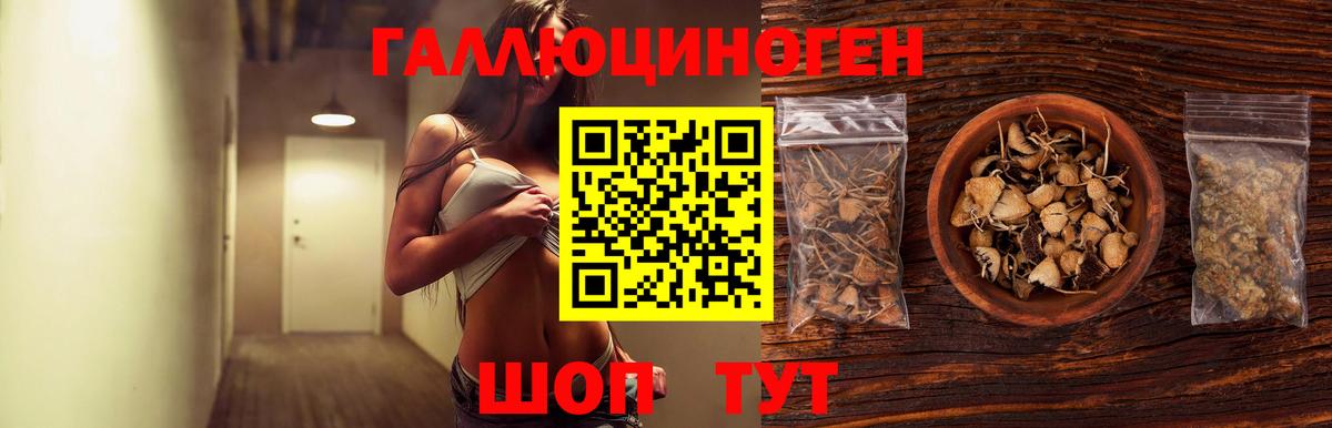 Баксан  Галлюциногенные грибы GOLDEN TEACHER  Вход с VPN 